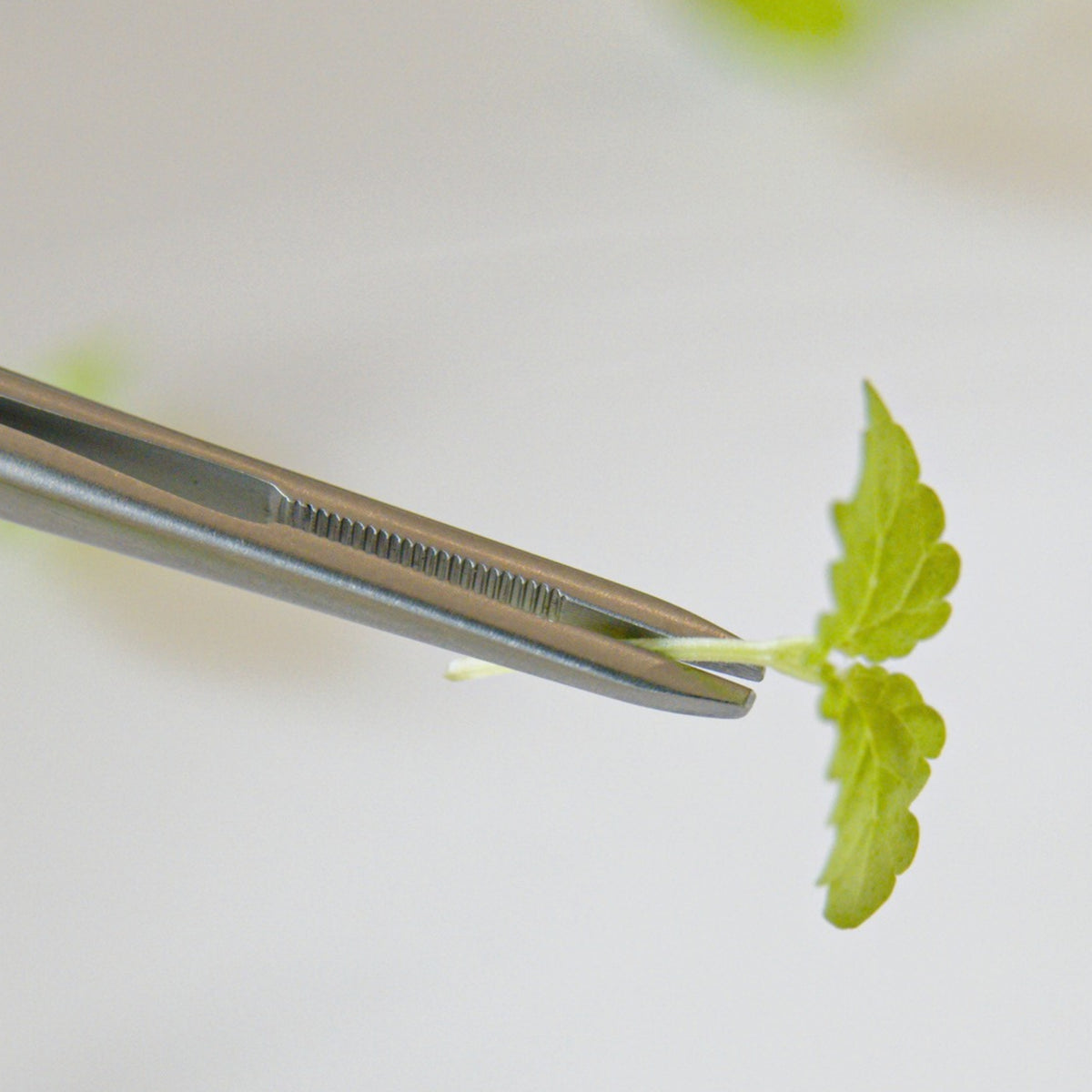 FineTouch Small Chef’s Tweezers