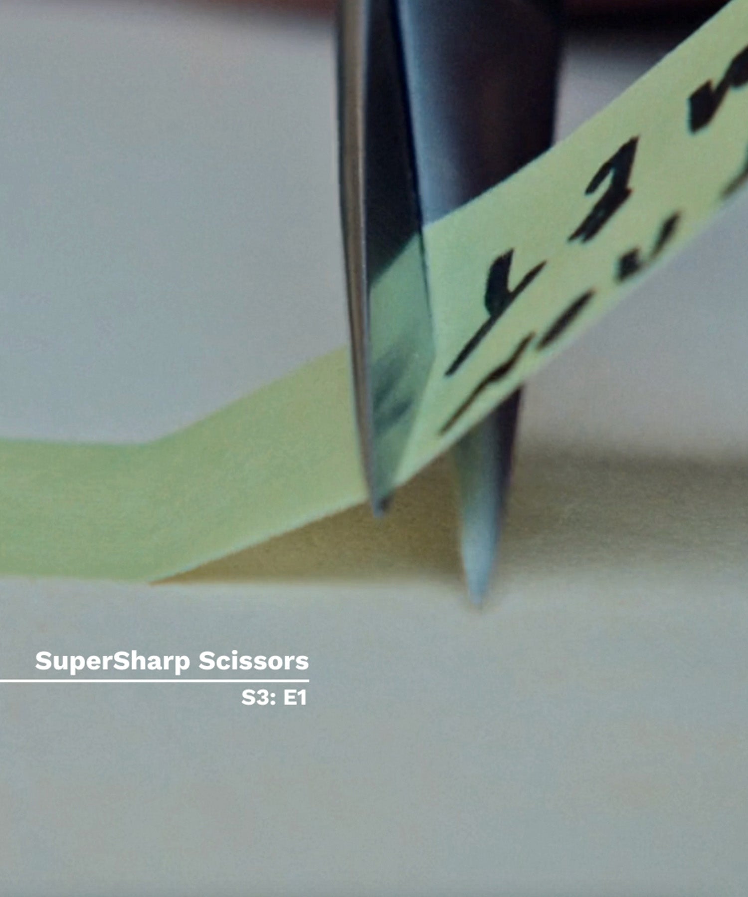 The_Bear_Scissors
